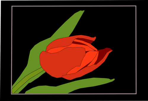 Tulpė, Raudona, Rėmas, Gėlė, Gėlių, Lapai, Nemokama Vektorinė Grafika