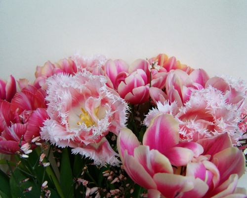Tulpių Puokštė, Rožinės Ir Baltos Gėlės, Supjaustytos Gėlės