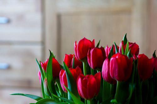 Tulpės, Gėlės, Gėlių Puokštė, Pavasaris, Gamta, Žiedas, Žydėti, Augalas, Flora, Raudona