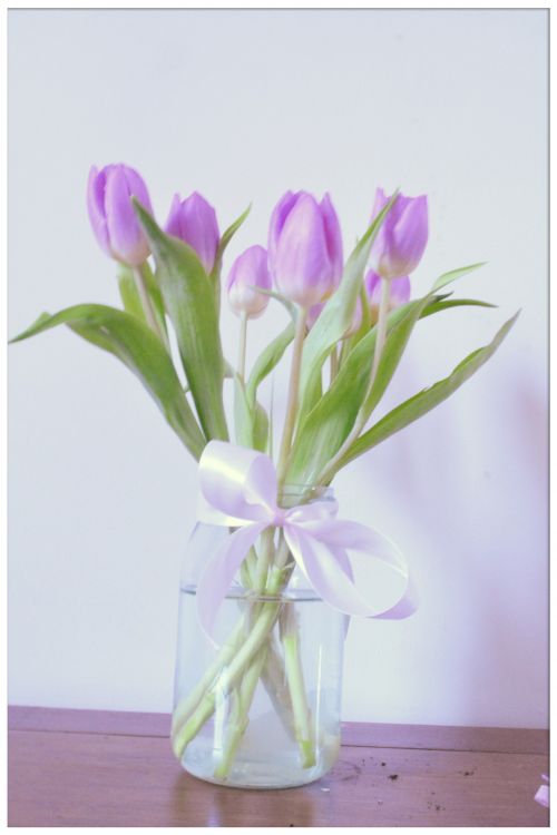 Tulpės,  Violetinė,  Pavasaris,  Vazos,  Tulpės