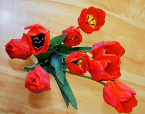 Tulpės, Gėlės, Puokštė, Šviesus, Gražios Gėlės, Gražiai, Kovo 8 D ., Pavasaris