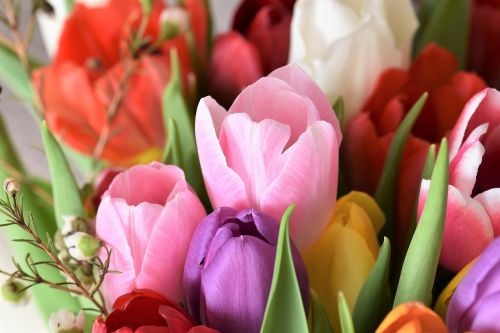 Tulpės, Strausas, Gėlės, Puokštė, Tulpių Puokštė, Federalinė Valdžia, Spalvinga, Schnittblume, Pavasaris, Žydėti