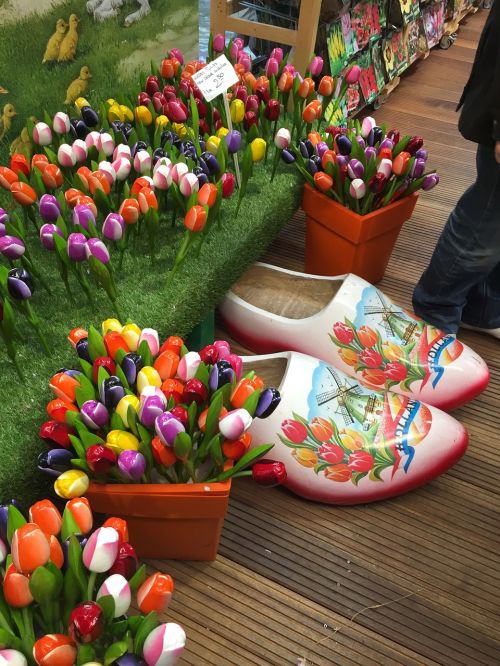Tulpės, Batai, Amsterdamas