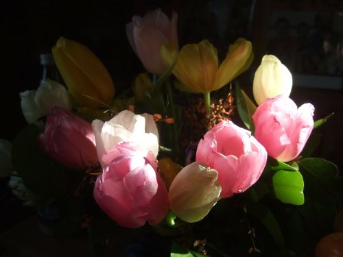 Tulpės, Puokštė, Strausas, Pavasaris, Raudona, Rožinis, Rausvai, Pavasario Gėlė, Gėlės, Žiedas, Žydėti, Tulpė, Tulpių Puokštė, Vazos