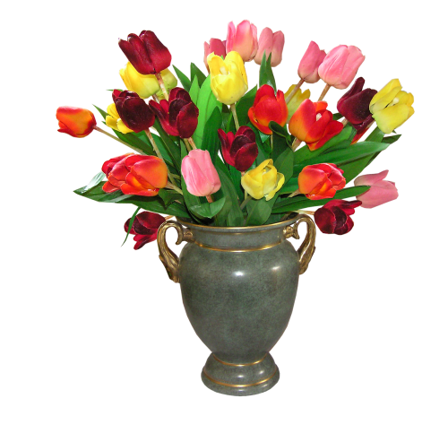 Tulpės, Gėlės, Vazos