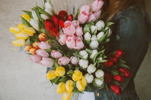 Tulpės, Gėlės, Puokštė, Mergaitė, Moteris, Žmonės