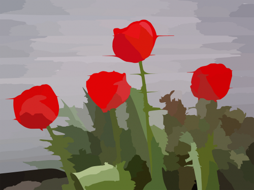 Tulpės, Gėlės, Augalai, Neryškus, Raudona, Žalias, Nemokama Vektorinė Grafika