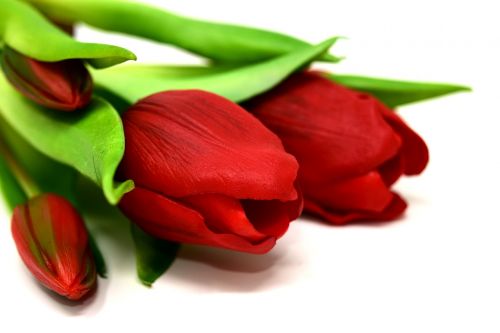 Tulpės, Gėlės, Dirbtinis, Pavasaris, Raudona