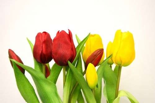 Tulpės, Gėlės, Dirbtinis, Pavasaris, Raudona, Geltona