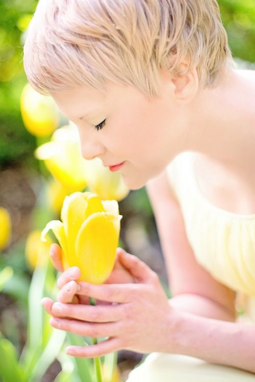 Tulpės, Geltona, Šviesiaplaukis, Gana Jauna Moteris, Pavasaris, Gėlė, Šviežias