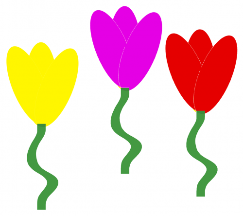 Tulpės, Gėlės, Pavasario Gėlės, Gėlių Fonas