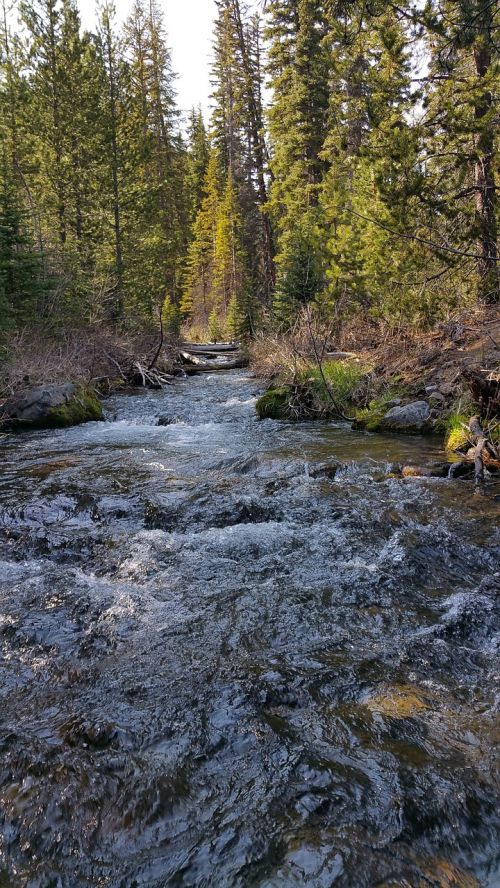 Tumalo Krinta,  Žygiai,  Deschutes,  Upė,  Srautas