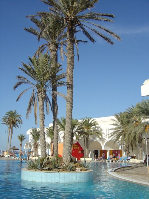 Tunisas, Viešbutis, Delnas