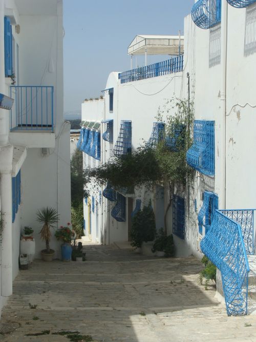 Tunisas, Arabiškas, Namai, Mėlynas, Balta
