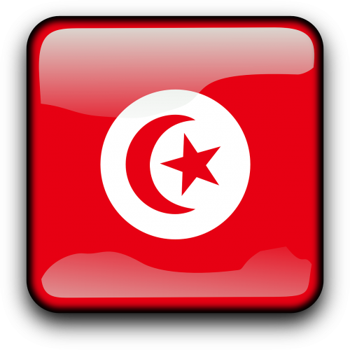 Tunisas, Vėliava, Šalis, Tautybė, Kvadratas, Mygtukas, Blizgus, Nemokama Vektorinė Grafika