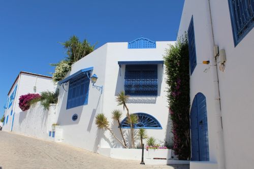 Tunisas, Miestas, Turizmas, Gražiai, Mėlyna - Balta, Gatvė, Gražus