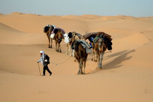Tunisas, Kemperis, Dykuma, Smėlis, Sahara
