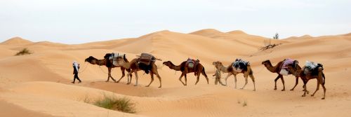 Tunisas, Dykuma, Kemperis, Smėlis, Sahara, Beduinas