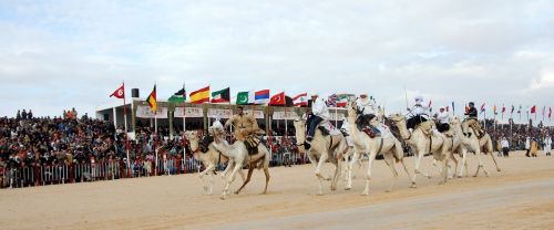 Tunisas, Kupranugaris, Festivalis, Sahara