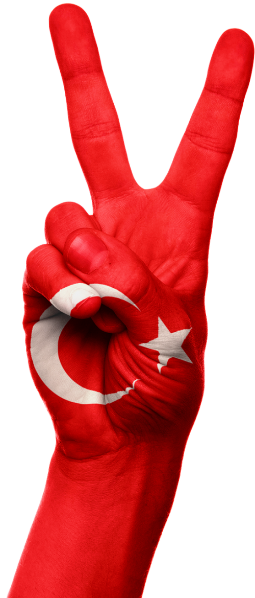 Turkija, Vėliava, Ranka, Nacionalinis, Asija, Europa, Šalis, Patriotinis, Patriotizmas, Pasididžiavimas, Taika, Pergalė, Ženklas, Simbolis