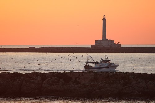 Twilight,  Sugrįžimas Žvejyba,  Švyturys