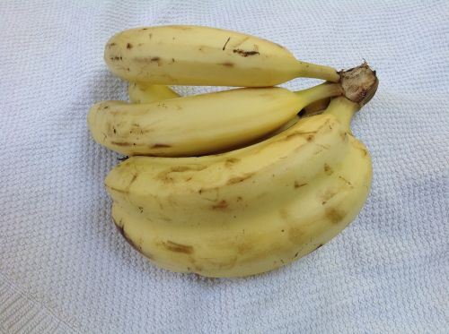 Dvyniai, Bananas, Dviguba Banana, Dviguba Banana, Siamo Dvyniai