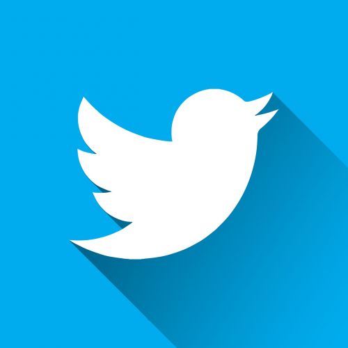 Twitter, Logotipas, Mėlynas