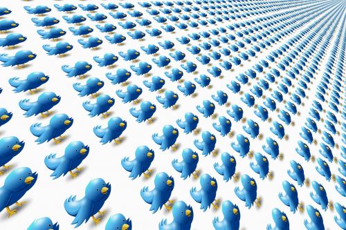 Twitter, Socialinė Žiniasklaida, Tinklas, Socialinis, Čivināšana, Paukštis, Juokinga, Mielas, Mėlynas