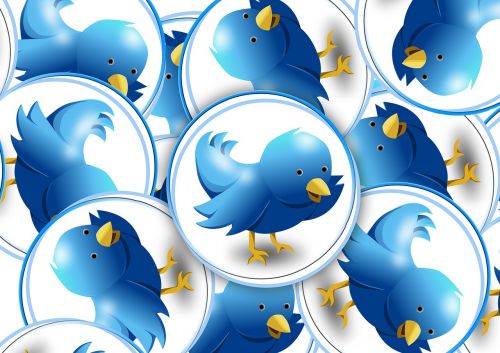 Twitter,  Logotipas,  Paukštis,  Abstraktus,  Socialinė Žiniasklaida