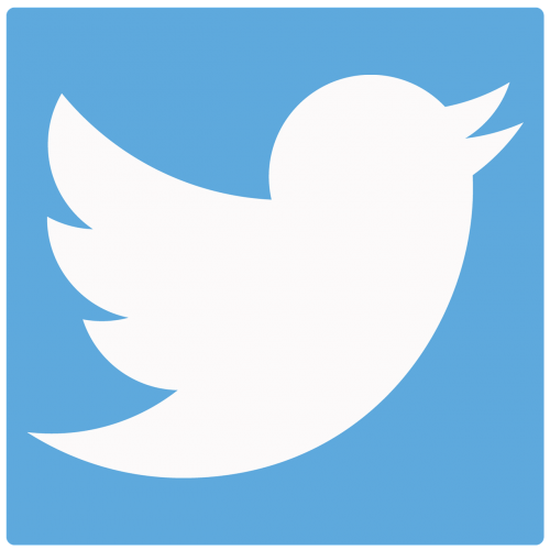 Twitter Paukštis, Twitter Mygtukas, Paukštis, Twitter, Socialinė Žiniasklaida