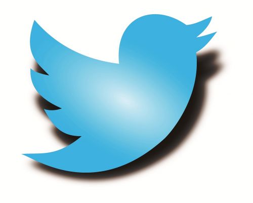 Twitter Logotipas, Twitter Paukštis, Twitter Šešėlis Paukštis