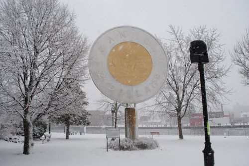 Žiema,  Milžinas,  Toonie,  Campbellford,  Toonie Žiemą