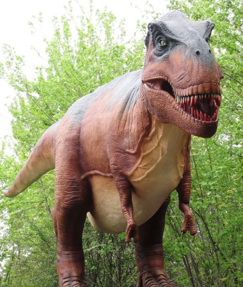 Tiranozauras, Dinozauras, Milžiniškas Dinozauras