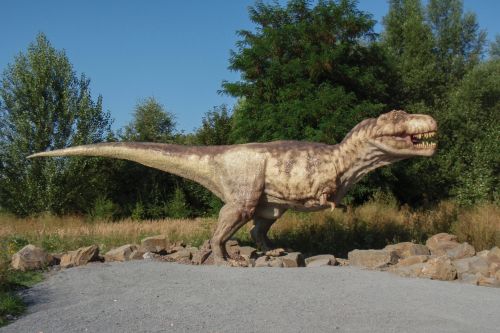 Tyrannosaurus,  Rex,  Plėšrūnas,  Praeitis,  Figūrėlė,  Tiranozauras