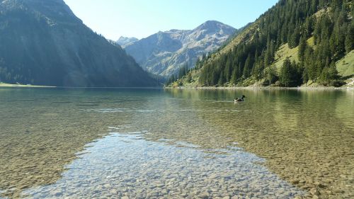 Tyrol, Tannheimer Tal, Vilstalsee, Vandens Spiegelung, Gražus Oras