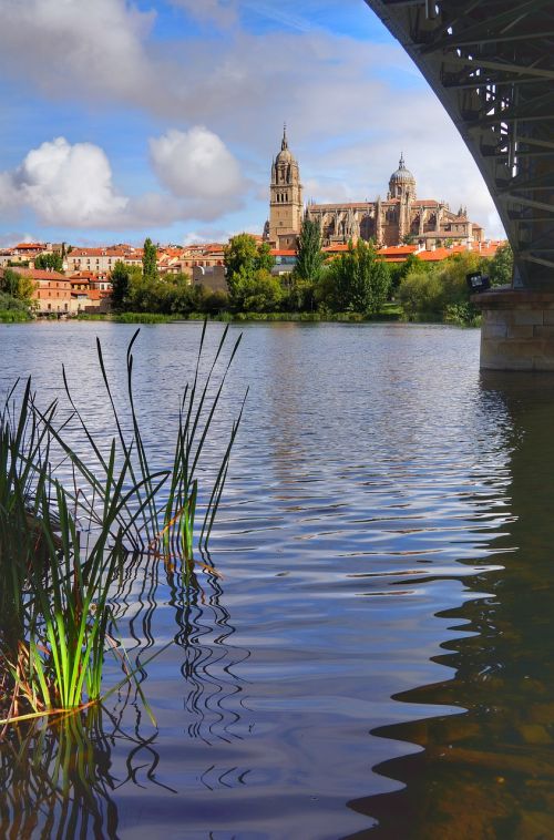 Pagal, Tiltas, Vaizdas, Salamanca, Katedra, Upė, Ispanija