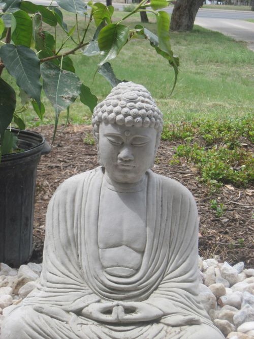 Budizmas,  Buda,  Asian & Nbsp,  Art,  Japonija,  Po Bo Medžiu
