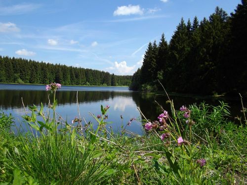 Viršutinė Harzo Vandens Lentyna, Kasyba, Derva, Tvenkinys