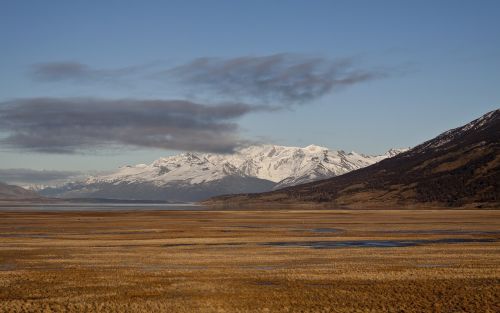Ushuaia, Kalafatas, Gamta