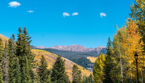 Vinys, Colorado, Gamta, Usa, Kelionė, Kelionės Tikslas, Miškas, Kraštovaizdis, Peizažas, Vaizdingas, Medis, Lauke, Aspensas, Kalnai, Žalias, Ruduo, Kritimo Lapija, Turizmas