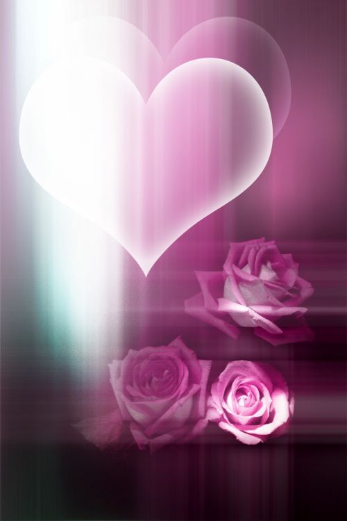 Valentine,  Meilė,  Rožė,  Raudona,  Emocija,  Širdis,  Sveikinimai,  Spindesys,  Valentino Fonas