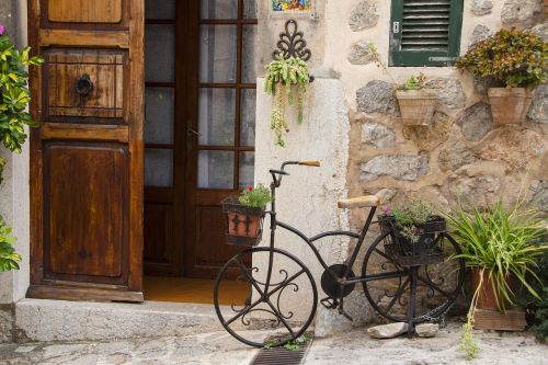 Valldemossa, Maljorka, Dviratis, Augalas