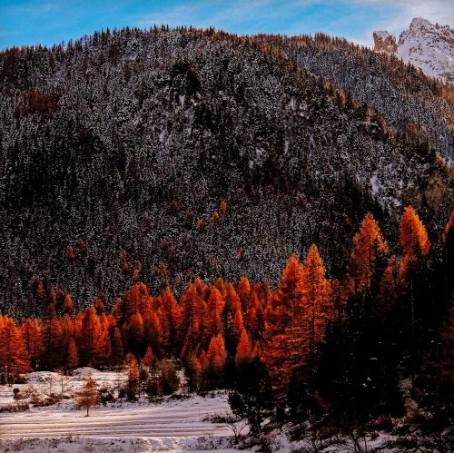 Valle Stretta, Piemonte, Italy, Ruduo, Medžiai, Sniegas, Kalnas, Kalnai, Kraštovaizdis, Peizažai, Gamta, Niekas, Lauke