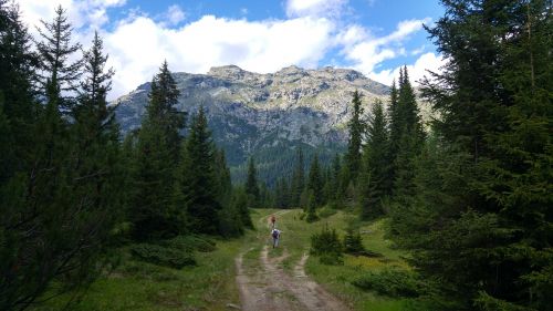 Valmalenco, Kalnai, Palú