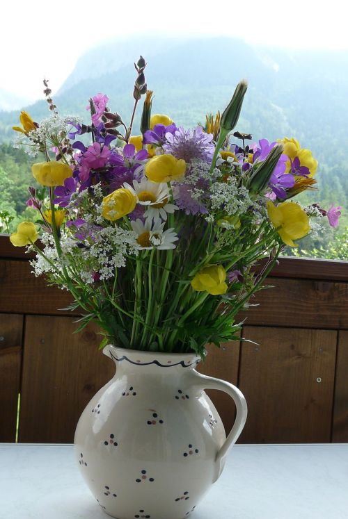 Vazos, Gėlės, Spalvinga