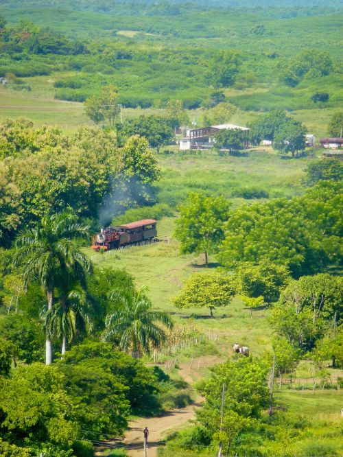 Senas Traukinys, Trinidadas, Kaimas, Kelionė, Karibai, Kraštovaizdis