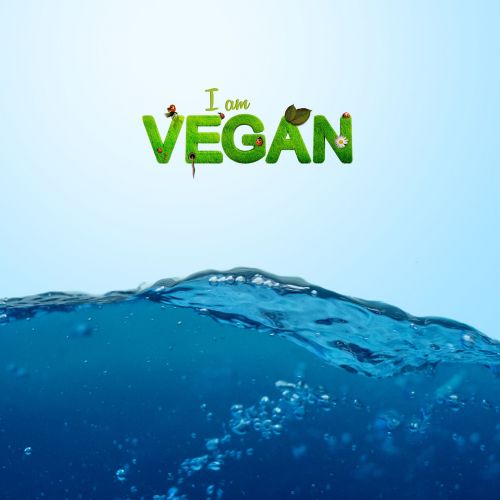 Veganas, Vegetariškas, Sveikas, Vitaminai, Frisch, Maistas