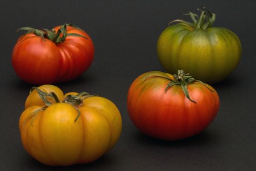 Daržovės, Makro, Pomidorai, Datailaufnahme