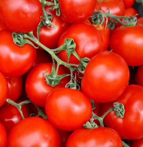 Daržovės,  Pomidorai,  Maistas
