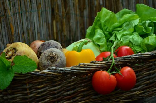 Daržovės, Pomidorai, Daržovių Krepšelis, Salotos, Sodas, Derlius, Frisch, Vegetariškas, Valgyti, Sveikas, Vitaminai, Žalias Maistas, Maistas